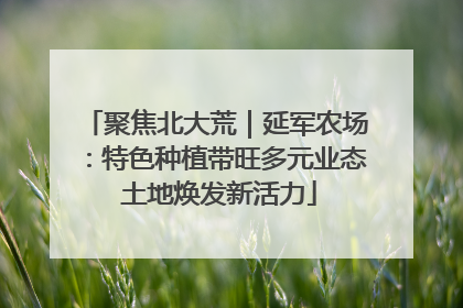 聚焦北大荒｜延军农场：特色种植带旺多元业态 土地焕发新活力