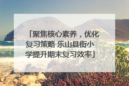 聚焦核心素养，优化复习策略 乐山县街小学提升期末复习效率