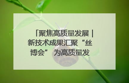 聚焦高质量发展｜新技术成果汇聚“丝博会” 为高质量发展注入新动能