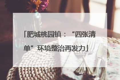 肥城桃园镇：“四张清单”环境整治再发力