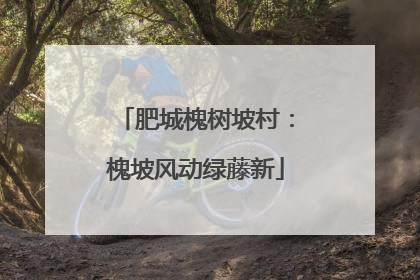 肥城槐树坡村：槐坡风动绿藤新