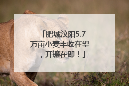 肥城汶阳5.7万亩小麦丰收在望，开镰在即！