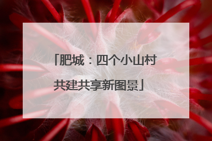 肥城：四个小山村共建共享新图景