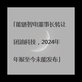 能链智电董事长转让团油科技，2024年年报至今未能发布