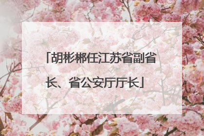 胡彬郴任江苏省副省长、省公安厅厅长