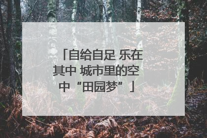 自给自足 乐在其中 城市里的空中“田园梦”