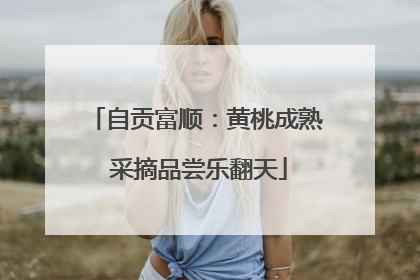 自贡富顺：黄桃成熟 采摘品尝乐翻天