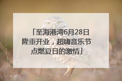 至海港湾6月28日隆重开业，超嗨音乐节点燃夏日的激情