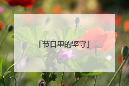 节日里的坚守