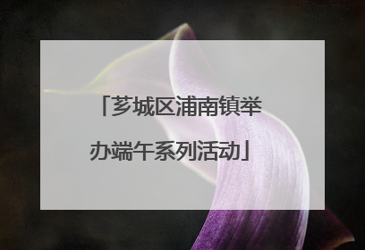 芗城区浦南镇举办端午系列活动