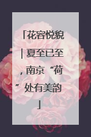 花容悦貌｜夏至已至，南京“荷”处有美韵