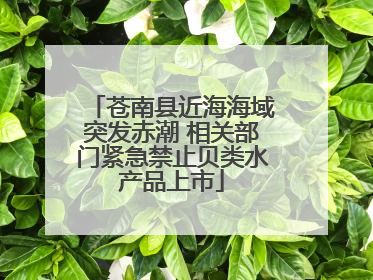 苍南县近海海域突发赤潮 相关部门紧急禁止贝类水产品上市