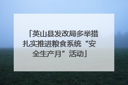 英山县发改局多举措扎实推进粮食系统“安全生产月”活动