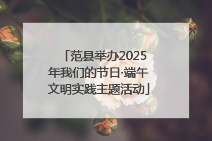范县举办2025年我们的节日·端午文明实践主题活动