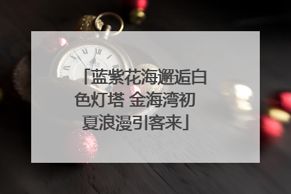 蓝紫花海邂逅白色灯塔 金海湾初夏浪漫引客来