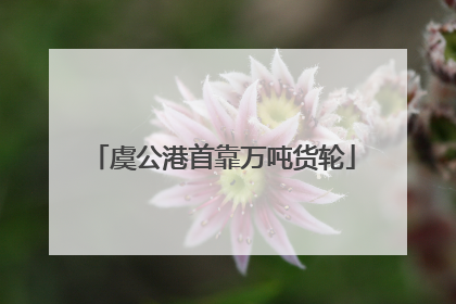 虞公港首靠万吨货轮