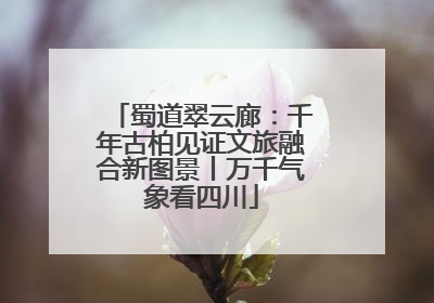 蜀道翠云廊：千年古柏见证文旅融合新图景丨万千气象看四川