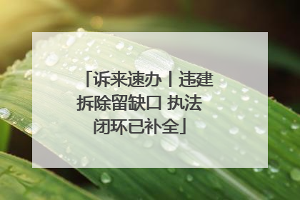 诉来速办丨违建拆除留缺口 执法闭环已补全