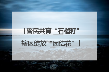 警民共育“石榴籽” 辖区绽放“团结花”