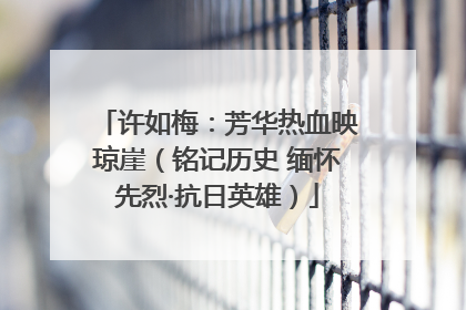 许如梅：芳华热血映琼崖（铭记历史 缅怀先烈·抗日英雄）