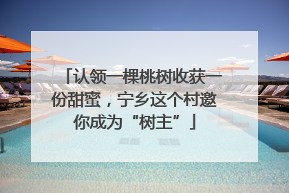 认领一棵桃树收获一份甜蜜，宁乡这个村邀你成为“树主”
