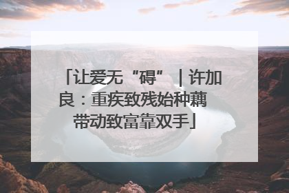 让爱无“碍”｜许加良：重疾致残始种藕 带动致富靠双手