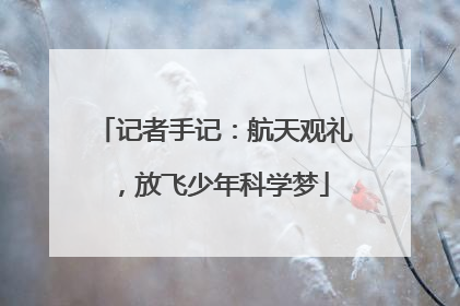 记者手记：航天观礼，放飞少年科学梦