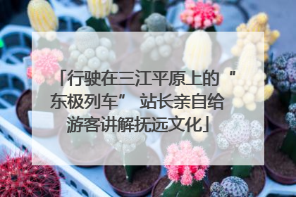 行驶在三江平原上的“东极列车” 站长亲自给游客讲解抚远文化