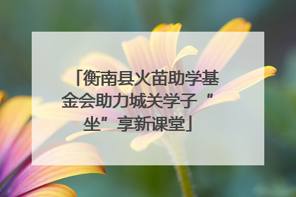 衡南县火苗助学基金会助力城关学子“坐”享新课堂