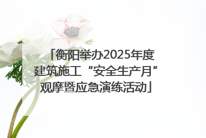 衡阳举办2025年度建筑施工“安全生产月”观摩暨应急演练活动