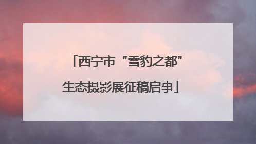西宁市“雪豹之都”生态摄影展征稿启事