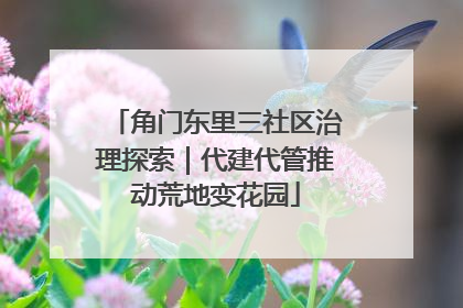 角门东里三社区治理探索｜代建代管推动荒地变花园