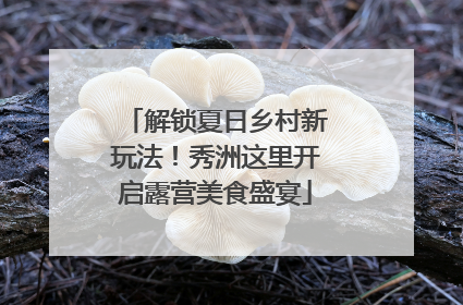 解锁夏日乡村新玩法！秀洲这里开启露营美食盛宴