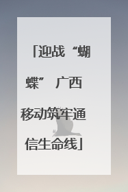 迎战“蝴蝶” 广西移动筑牢通信生命线