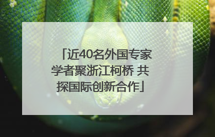 近40名外国专家学者聚浙江柯桥 共探国际创新合作