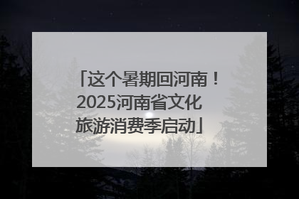 这个暑期回河南！2025河南省文化旅游消费季启动