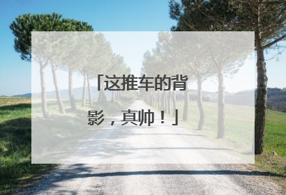 这推车的背影，真帅！