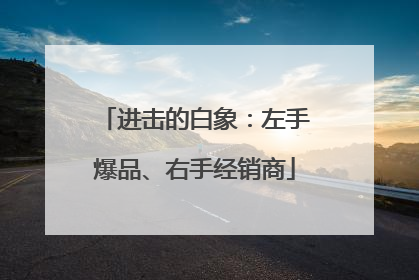 进击的白象:左手爆品、右手经销商