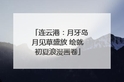 连云港：月牙岛月见草盛放 绘就初夏浪漫画卷