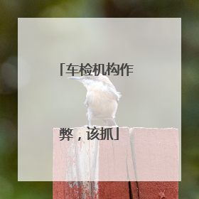 车检机构作弊，该抓