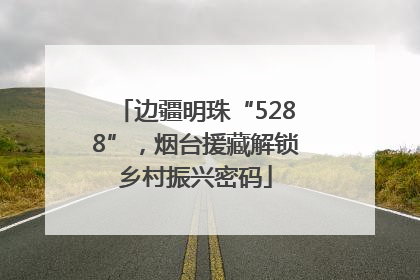 边疆明珠“5288”，烟台援藏解锁乡村振兴密码