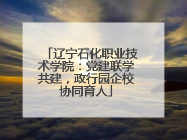 辽宁石化职业技术学院：党建联学共建，政行园企校协同育人