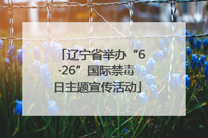辽宁省举办“6·26”国际禁毒日主题宣传活动