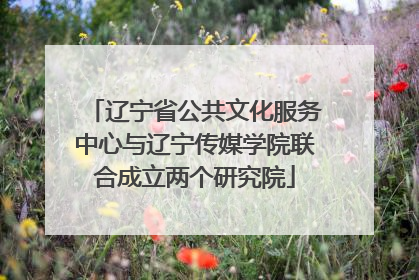 辽宁省公共文化服务中心与辽宁传媒学院联合成立两个研究院