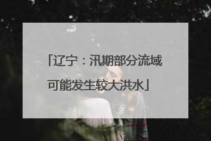 辽宁：汛期部分流域可能发生较大洪水