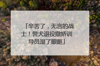 辛苦了，无言的战士！警犬退役撒娇训导员湿了眼眶