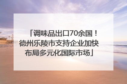 调味品出口70余国！德州乐陵市支持企业加快布局多元化国际市场