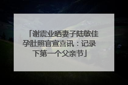 谢震业晒妻子陆敏佳孕肚照官宣喜讯：记录下第一个父亲节