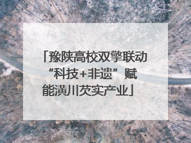 豫陕高校双擎联动 “科技+非遗”赋能潢川芡实产业