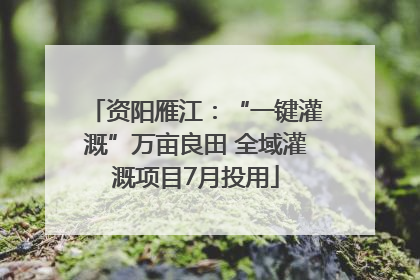 资阳雁江：“一键灌溉”万亩良田 全域灌溉项目7月投用